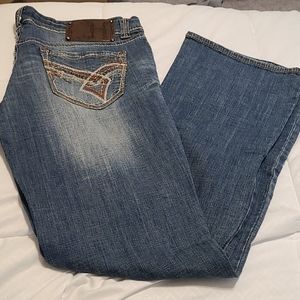 Hyrdaulic Denim Jeans